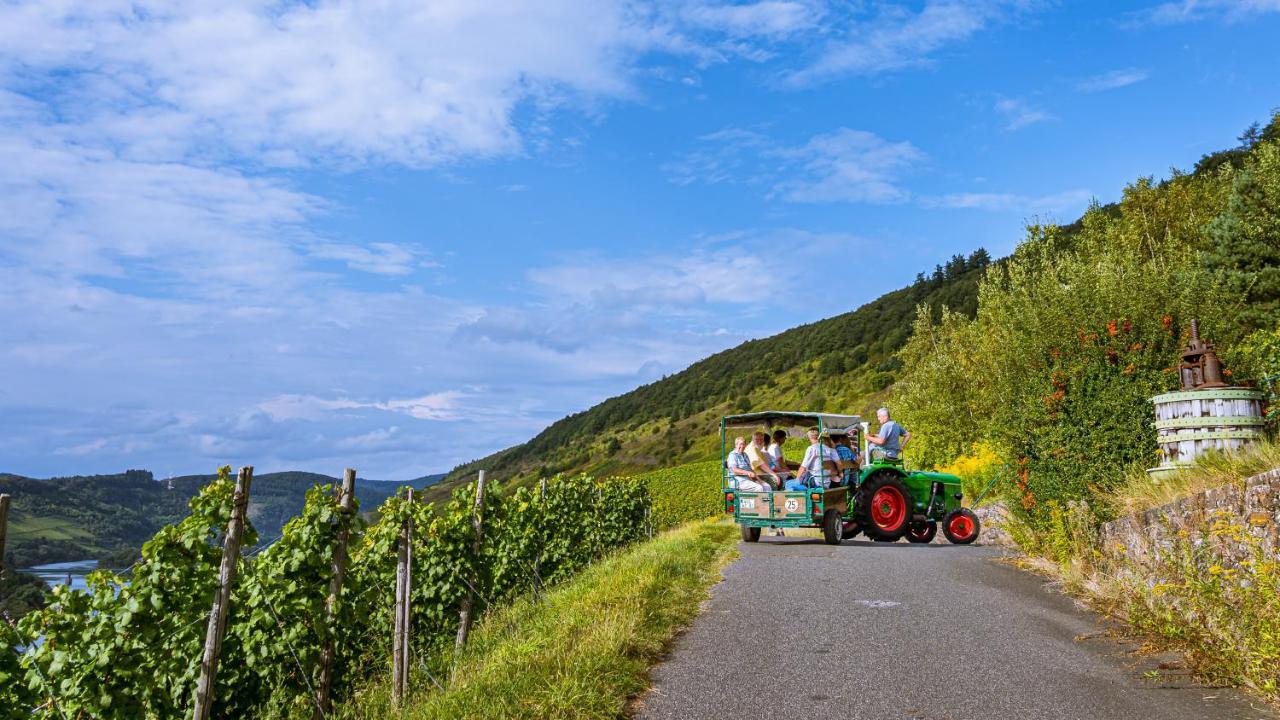 Bed and Breakfast Ferienweingut Hirschen Schulstrasse Burg  Exteriér fotografie
