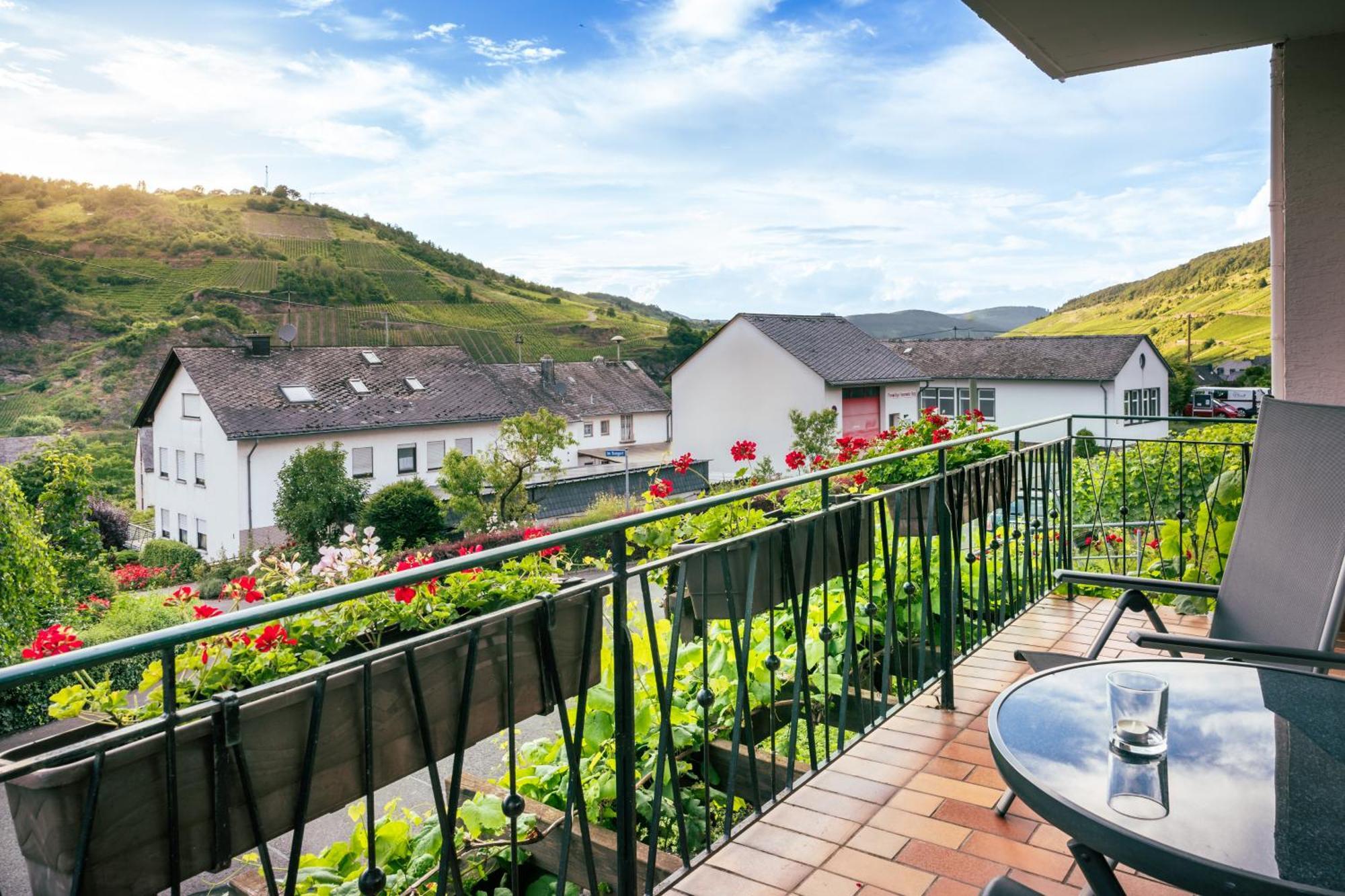 Bed and Breakfast Ferienweingut Hirschen Schulstrasse Burg  Exteriér fotografie