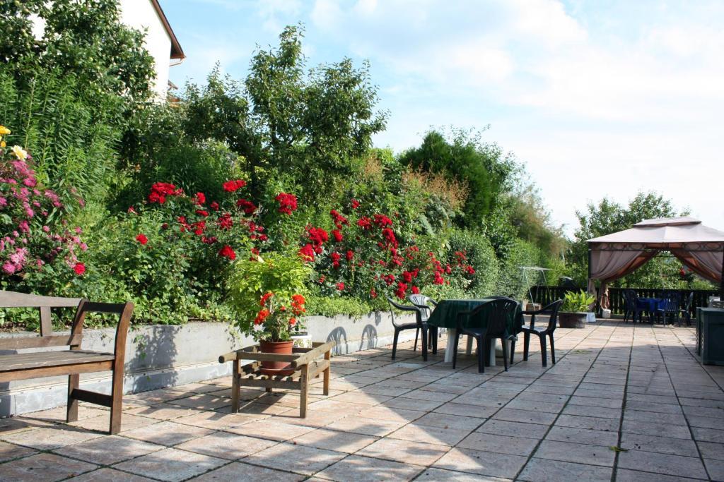 Bed and Breakfast Ferienweingut Hirschen Schulstrasse Burg  Exteriér fotografie