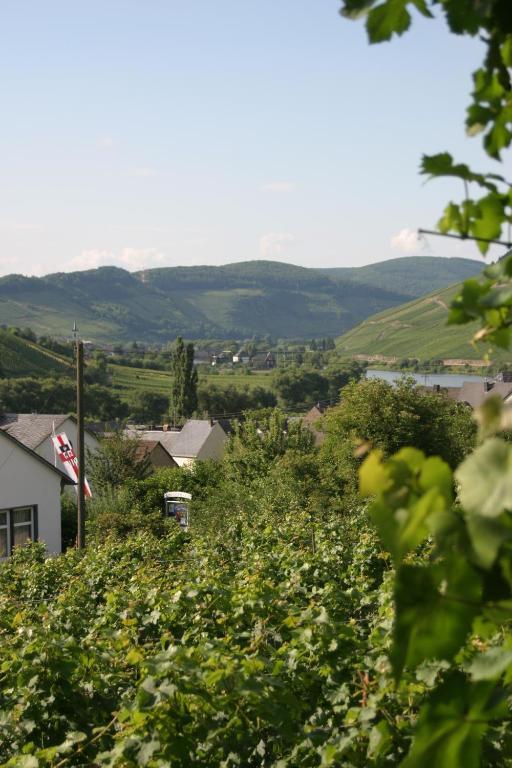 Bed and Breakfast Ferienweingut Hirschen Schulstrasse Burg  Exteriér fotografie